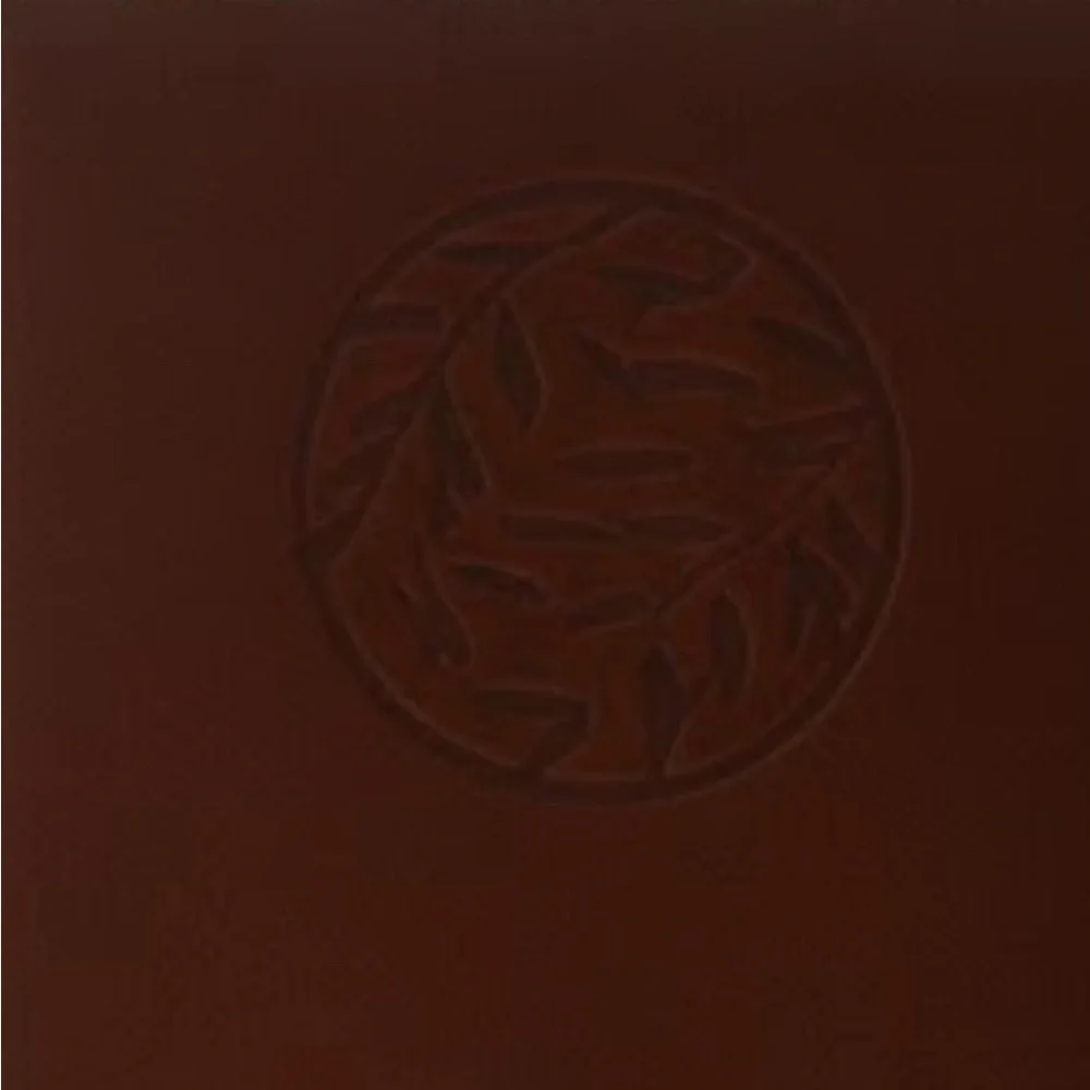 NWT Brown leather Embossed Journal